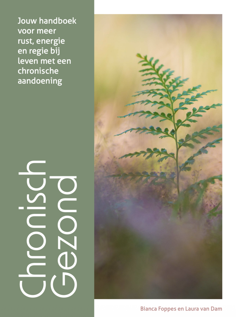 Cover van het e-book Chronisch Gezond